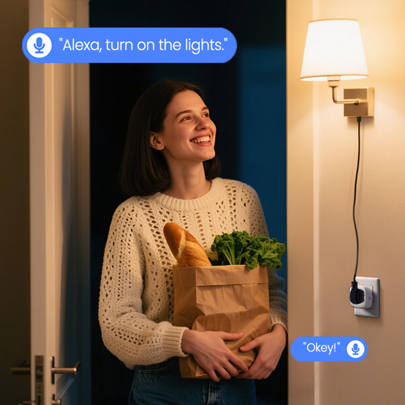 Enchufe Inteligente Zigbee Tuy - Smart Plug Zigbee 16A reseña y precio